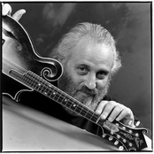 the david grisman bluegrass experience