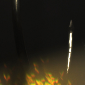 Like A Bird In A Jet Engine