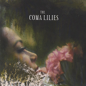 One Day He Will Disappear by The Coma Lilies