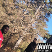 Remedies For Healing