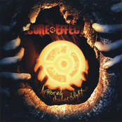 Armored Shades Of Light