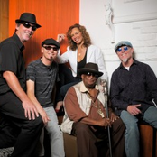 the lauren mitchell band