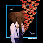 Elephants - Single
