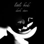 Little Birds - Dark Stars EP