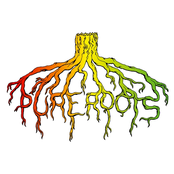 Pure Roots: Jah the Highest (feat. Junior Reid)