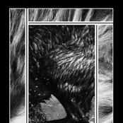 Notes from the Panopticon