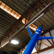 say you'll never leave