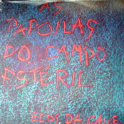 Papoilas do Campo Estéril