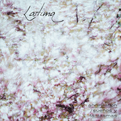 annihilation / sueños y fantasmas