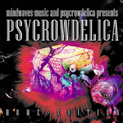 Psycrowdelica - Home Edition