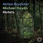Anton Bruckner & Michael Haydn: Motets