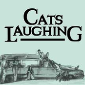 Wear My Face by Cats Laughing