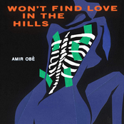 Amir Obe: Won't Find Love in the Hills - EP