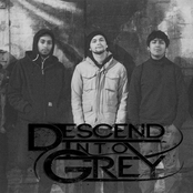 descend into grey