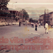 Campomanfoli