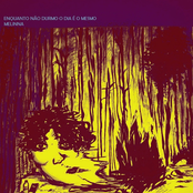 Enquanto Nao Durmo o Dia é o Mesmo