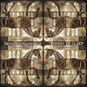 Thorns To Sleep