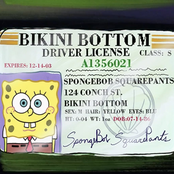 PEE PEE POO POO CHECK