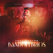 Bandolebrios