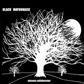 Low Twelve by Black Mayonnaise