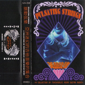 Pulsating Strings: A Collection of Psychedelic Asian Guitar Music