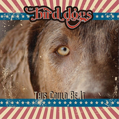 The Bird Dogs: This Could Be It