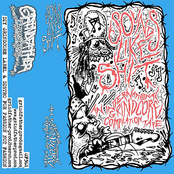 Sounds Like Shit: An International Grindcore Compilation Tape