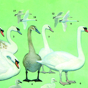 We Thought It Was But It Wasn’t