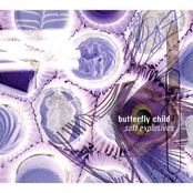 The Beautiful Girls by Butterfly Child