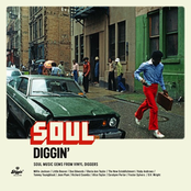 Soul Diggin' : Soul Music Gems From Vinyl Diggers