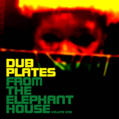 Dub Plates From the Elephant House
