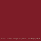 everything is perfect (feat. Skeleton Meat Phantasy Library) - Single