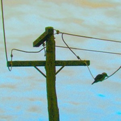 Today = Tomorrow = Yesterday