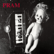 Flesh by Pram