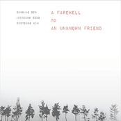 A Farewell To An Unknown Friend