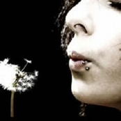 Beauty For The Blinded Eyes