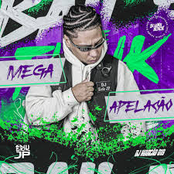Mega Apelação