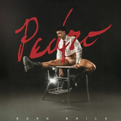Pedro