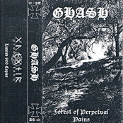 Forest of Perpetual Pains