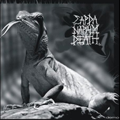 sardanapalm death