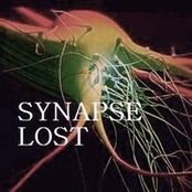 synapse lost