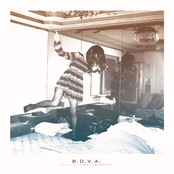 B​.​D​.​V​.​A.