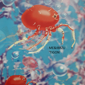 Tigon