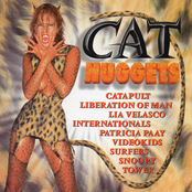 Cat Nuggets