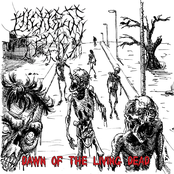 Dawn Of The Living Dead