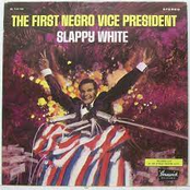 Vice President