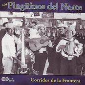 los pingüinos del norte