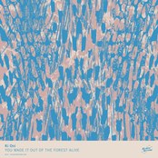 You Made It out of the Forest Alive