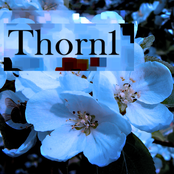 Thorn1 [EP]