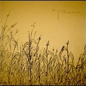 Lead Blocks for Feet LP